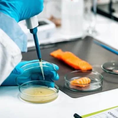 test lab test lab